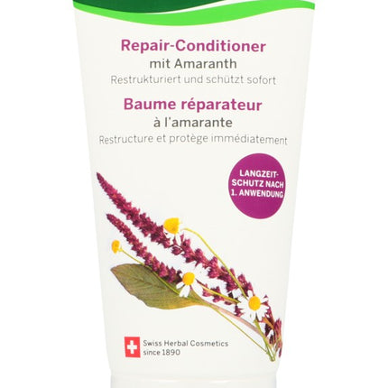 Spinner Image 1027661