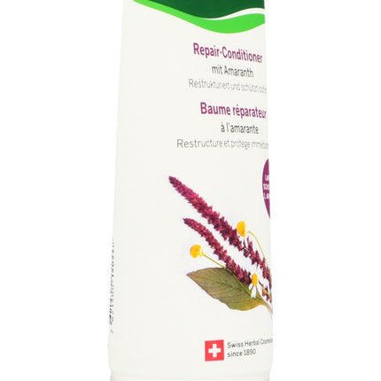 Spinner Image 1027661