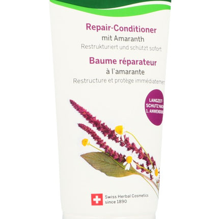 Spinner Image 1027661