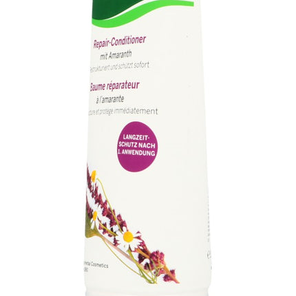 Spinner Image 1027661