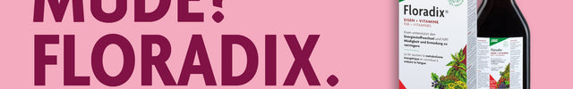 Floradix Eisen + Vitamine