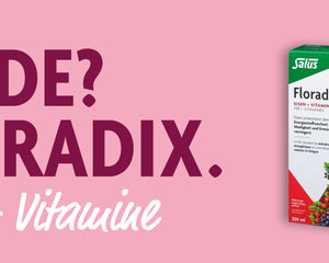 Collection image for: Floradix Eisen + Vitamine