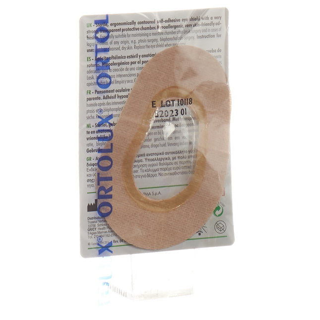 Article Image 2916080