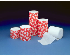 Article Image 1113956