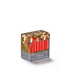 Article Image 3643690