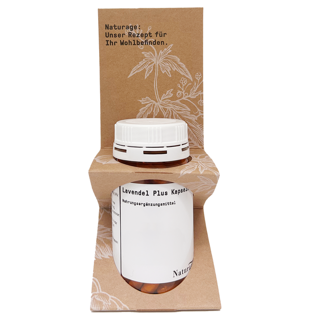 Article Image 17923044