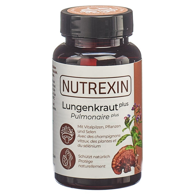 Article Image 1042401