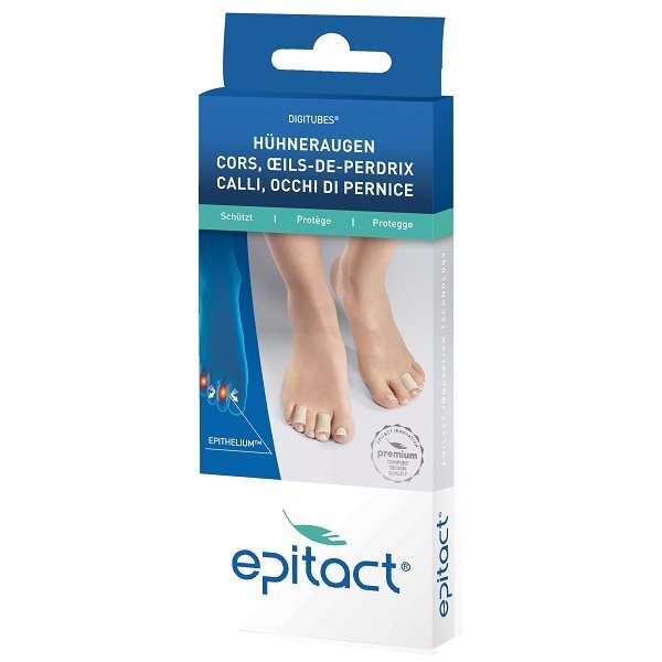 Article Image 3446682