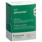 Article Image 7563947