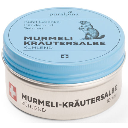 Article Image 7740554