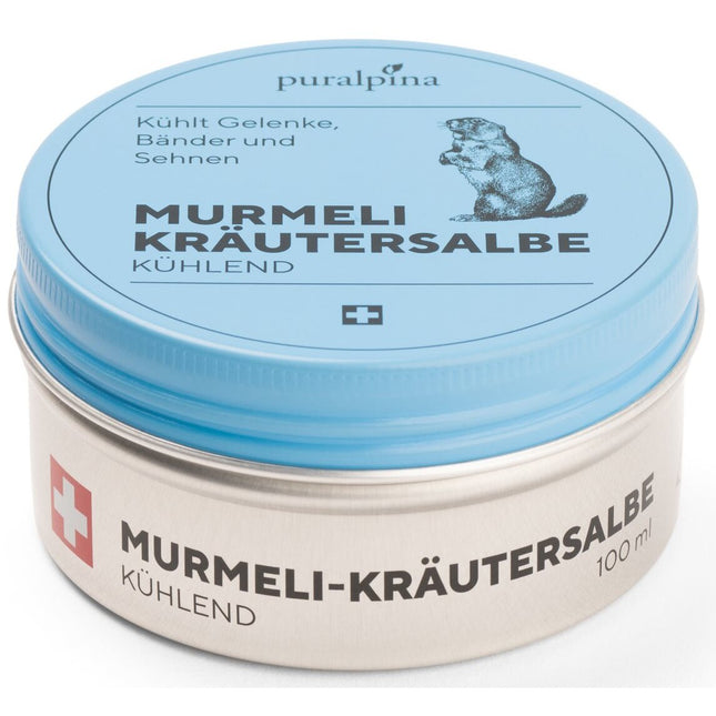 Article Image 7740554