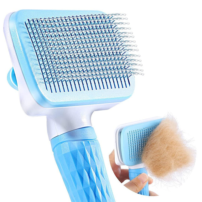 Article Image 7823745