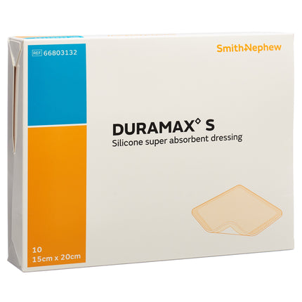 Article Image 1009412