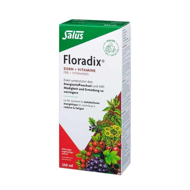 Floradix Eisen + Vitamine Fl 250 ml