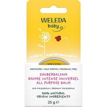 Article Image 7833822