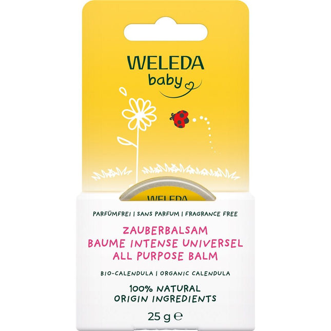 Article Image 7833822