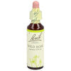 Bach-Blüten Original Wild Rose No37 20 ml