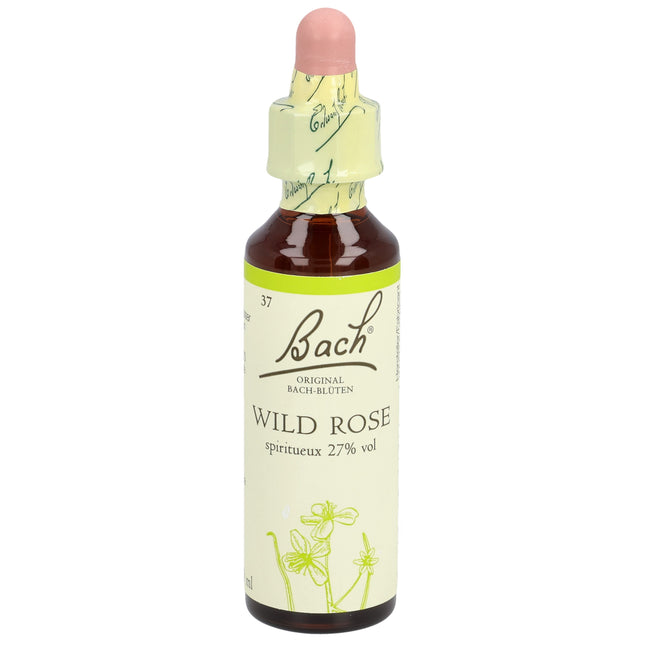 Bach-Blüten Original Wild Rose No37 20 ml