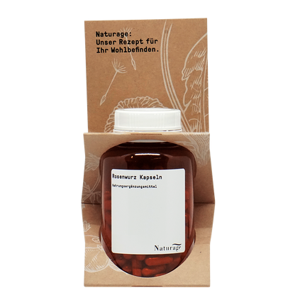 Article Image 17901331