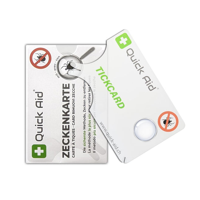 Article Image 1102796