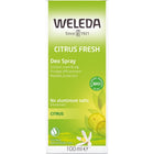 Article Image 7810397