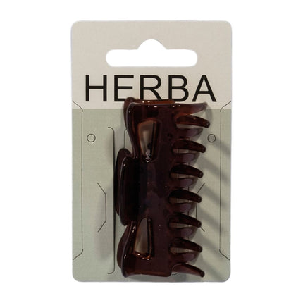 Article Image 5858584