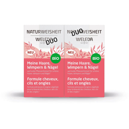 Article Image 7810646