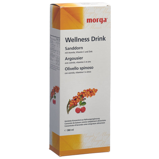 Morga Sanddorn Wellness Drink Fl 380 ml