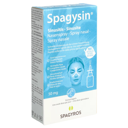 Article Image 1137025