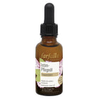 Article Image 7774786