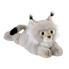 Article Image 7802998