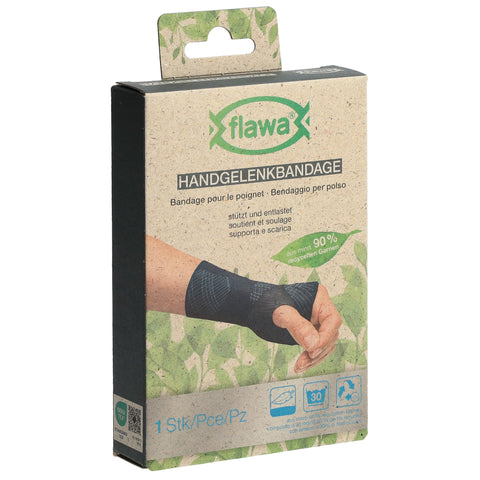 Article Image 1115730