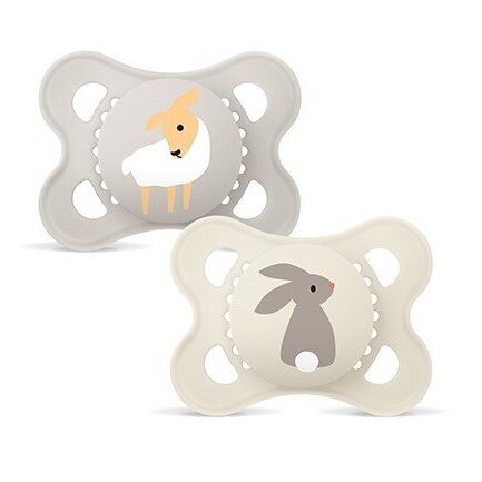 Article Image 1042829