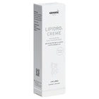 Article Image 1156293