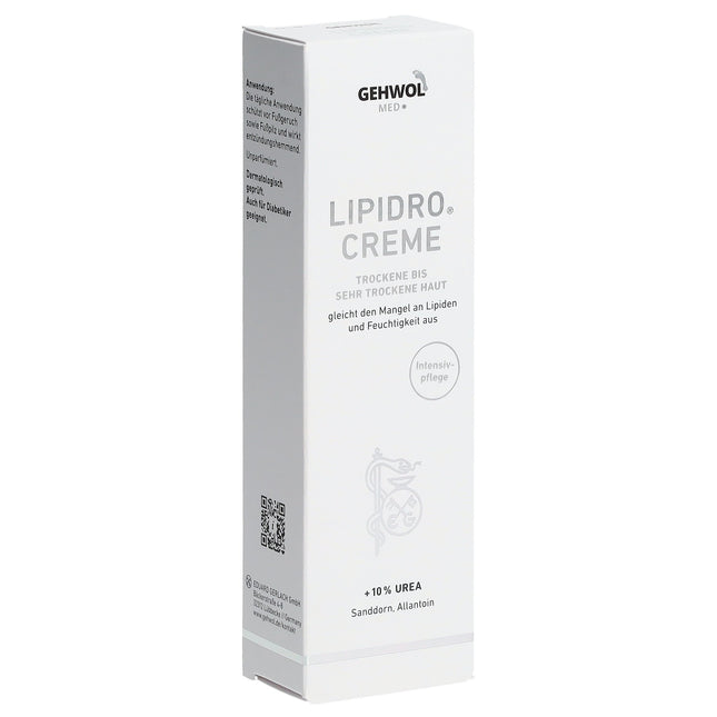 Article Image 1156293