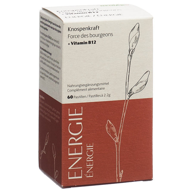 Article Image 7844976