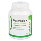 Article Image 1125214