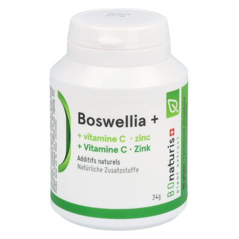 Article Image 1125214