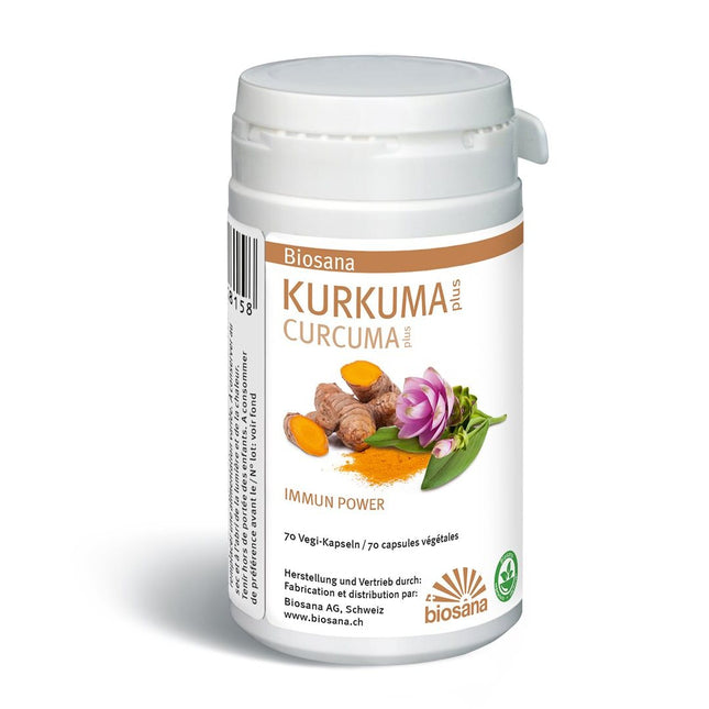 Article Image 7442882