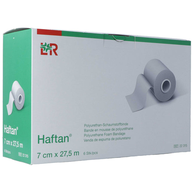 Article Image 2397289