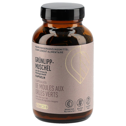 Article Image 1127320