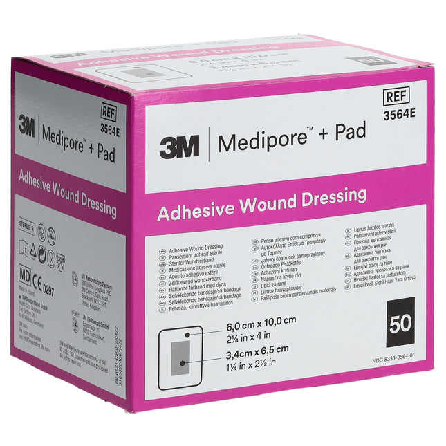 Article Image 1147973