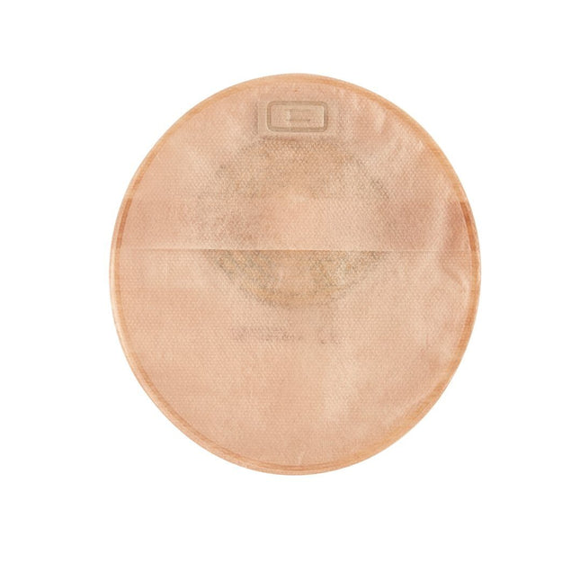 Article Image 1433215