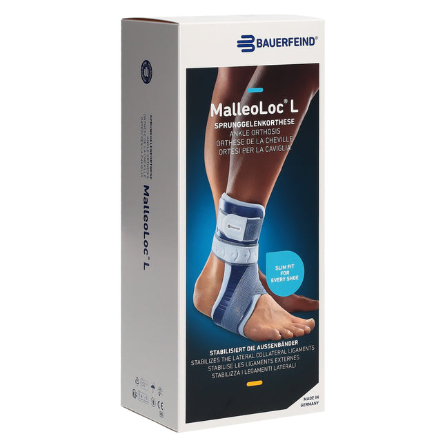 Article Image 7369317