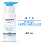 Article Image 7783966