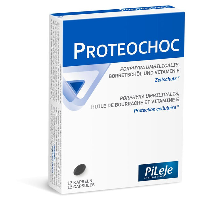 Article Image 7819026