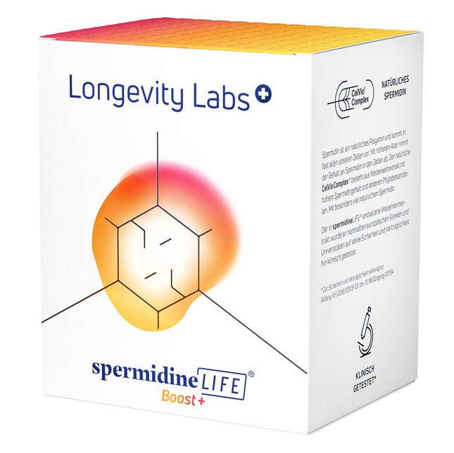 Article Image 1111838