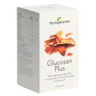 Article Image 4466043