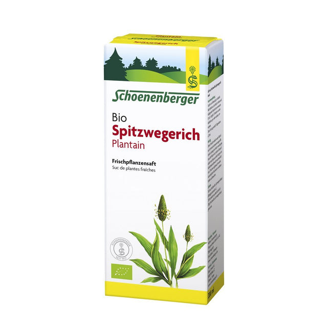 Article Image 1048916