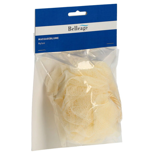 Article Image 5064080